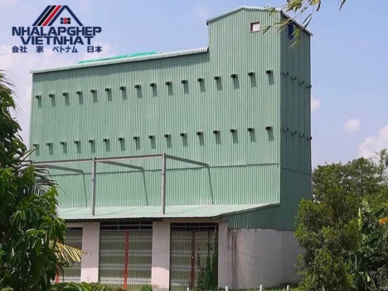 Top giải pháp cải tạo nhà yến vật liệu nhẹ HCM giúp đàn yến phát triển tốt hơn